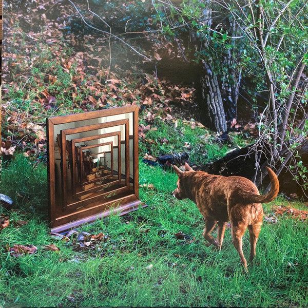 Amazondotcom : Mirror River (12", EP)