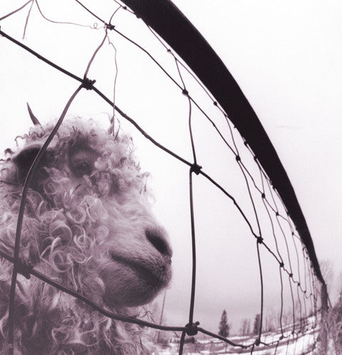 Pearl Jam - VS. LP (Clear Colored Vinyl)