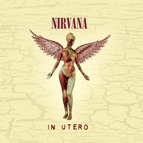 Nirvana - In Utero (20th Anniversary Edition) CD (Anniversary Edition)