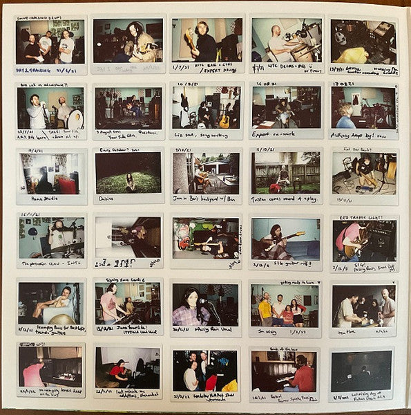 The Beths : Expert In A Dying Field (LP, Album, Ltd, Blu + Flexi, 7", Shape, S/Sided, S)