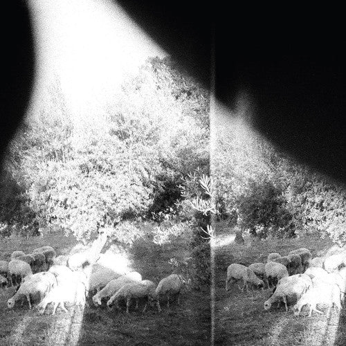 Godspeed You! Black Emperor - Asunder Sweet & Other Distress CD (Softpack)