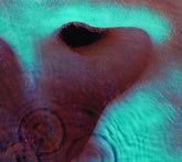Pink Floyd - Meddle CD (Softpak)