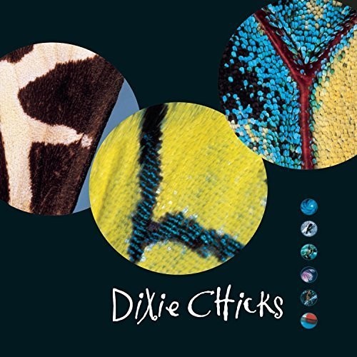 The Chicks - Fly 2LP (Gatefold LP Jacket)