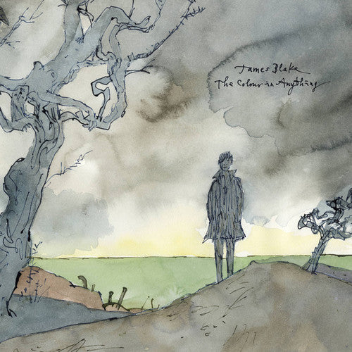 James Blake - The Colour In Anything 2LP (180g Vinyl)