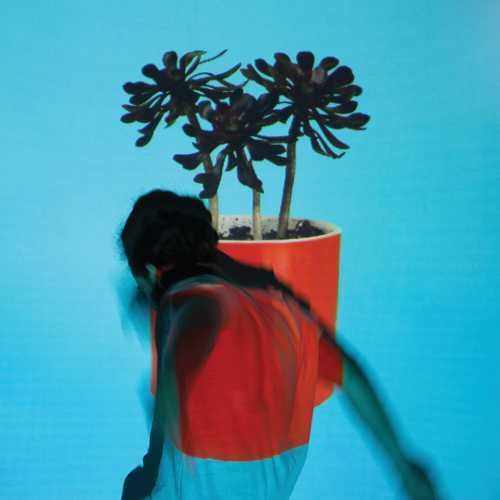 Local Natives - Sunlit Youth CD