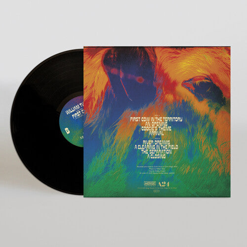 William Tyler - Music From First Cow LP (Black, Digital Download Card)