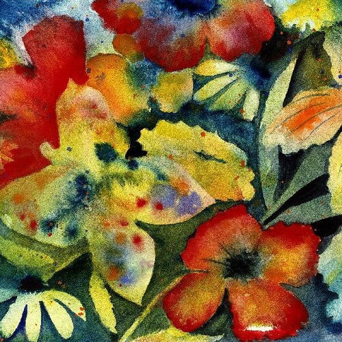 Adrianne Lenker - Songs And Instrumentals CD