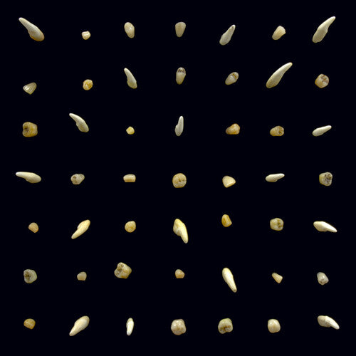 Clipping - Visions Of Bodies Being Burned 2LP