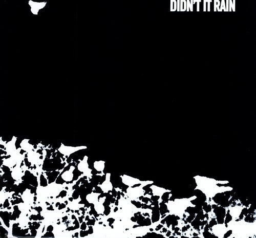 Songs: Ohio - Didn't It Rain LP