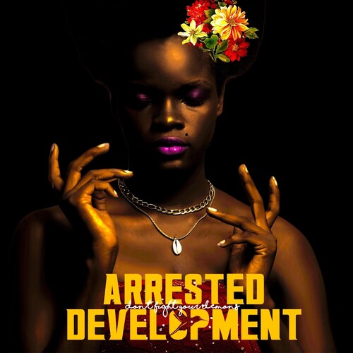 Arrested Development - Don't Fight Your Demons 2LP
