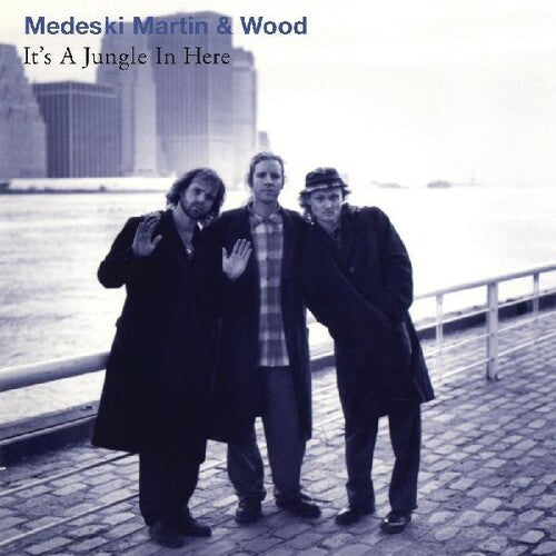 Medeski Martin & Wood: It's a Jungle In Here