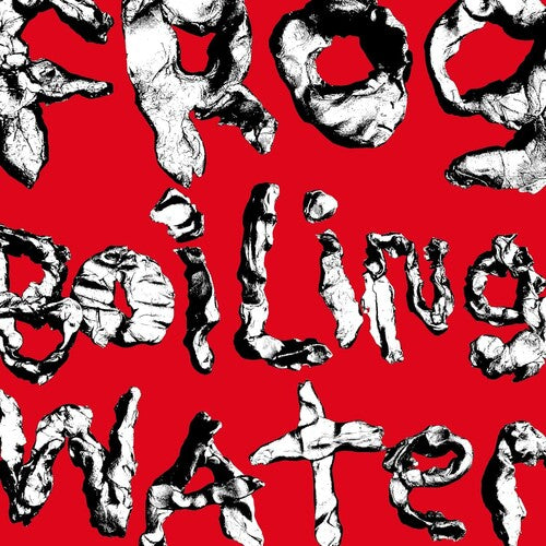 DIIV - Frog In Boiling Water LP