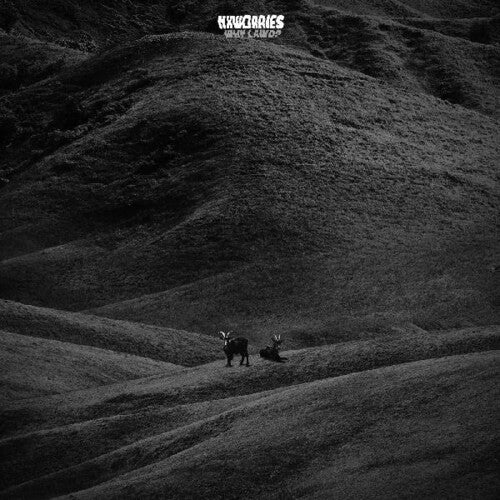 NxWorries - Why Lawd? LP (Indie Exclusive, Colored Vinyl, Brown, Blue, Splatter)