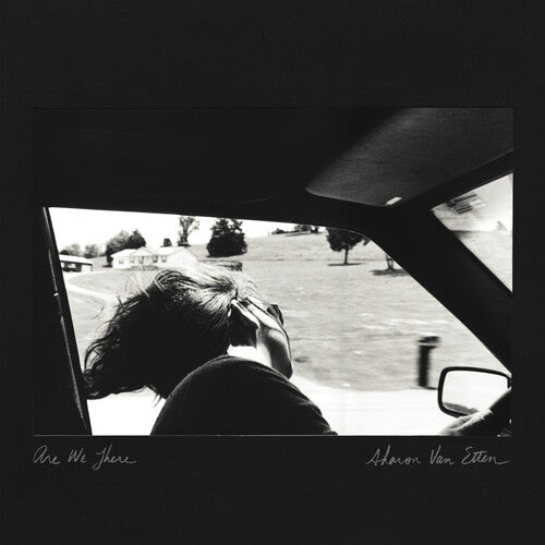 Sharon Van Etten - Are We There (10 Year Anniversary Edition) LP (Colored Vinyl, Anniversary Edition)