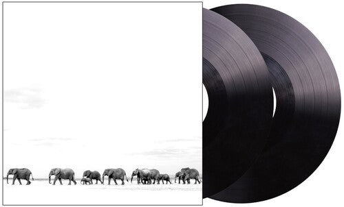 Dave Matthews Band - Where Are You Going: The Singles 2LP (140 Gram Vinyl, Gatefold LP Jacket)