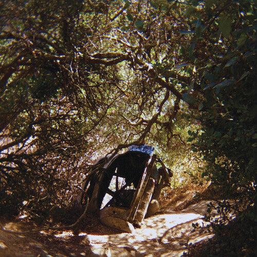 Ty Segall - Possession LP
