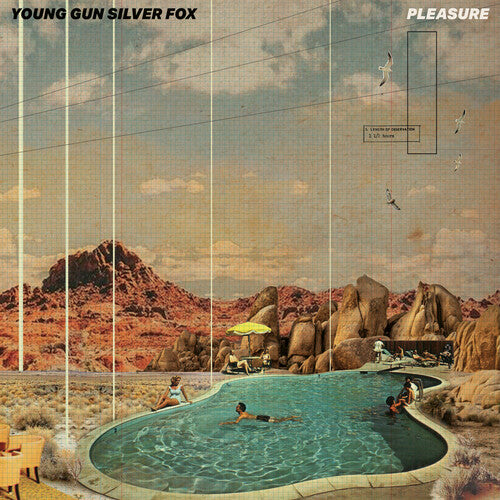 Young Gun Silver Fox - Pleasure CD