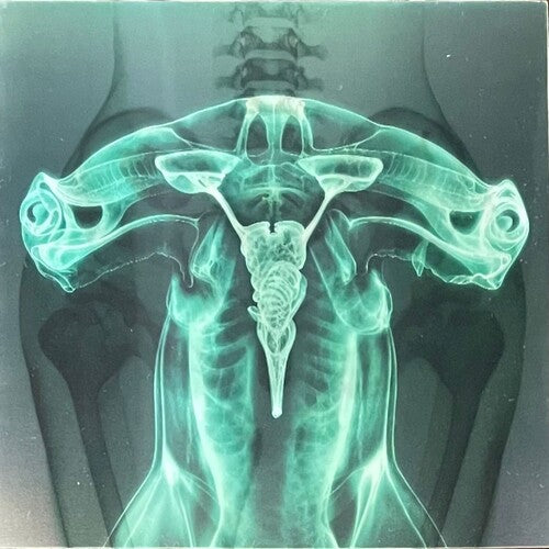 Eartheater - Shark Brain / Dolphin - Glow in the Dark LP (Colored Vinyl, Glow In The Dark)