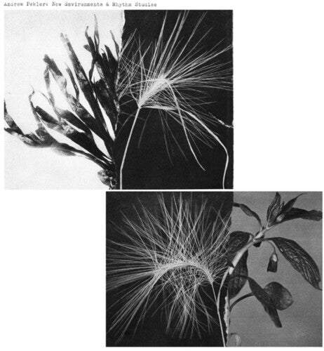 Andrew Pekler - New Environments And Rhythm Studies LP