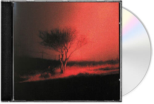 Joji - Piss In The Wind CD (Jewel Case)