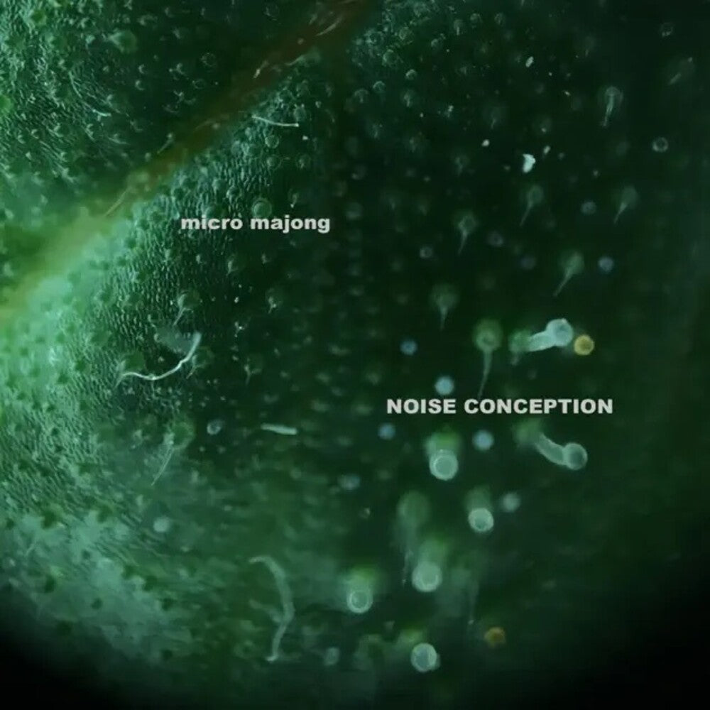 the album cover for Micro Majong - Noise Conception