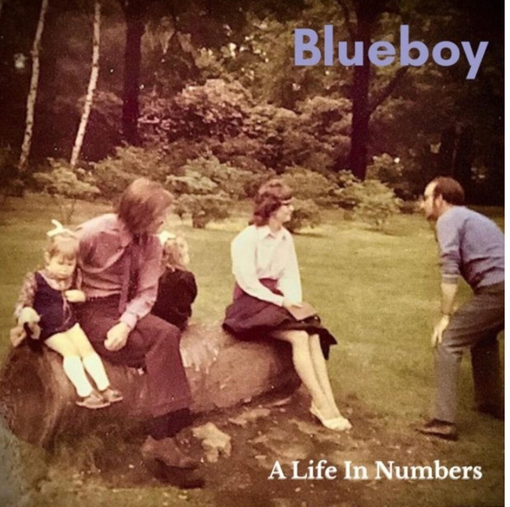 the album cover for Blueboy - Life In Numbers