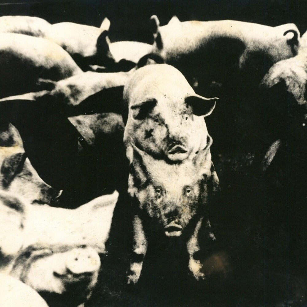 the album cover for Eskorbuto - Mucha Policia Poca Diversion (Ep)