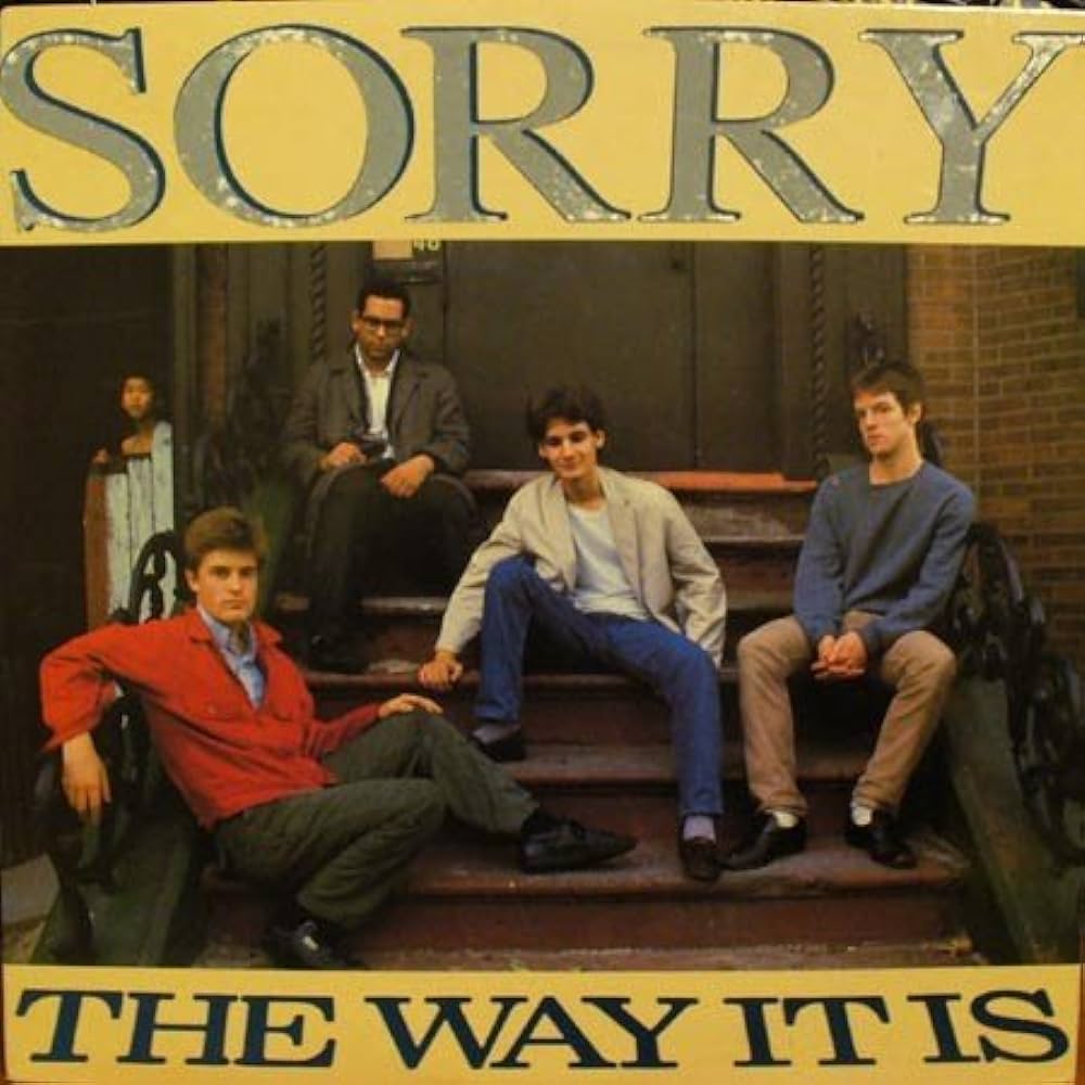 Sorry - Way It Is LP