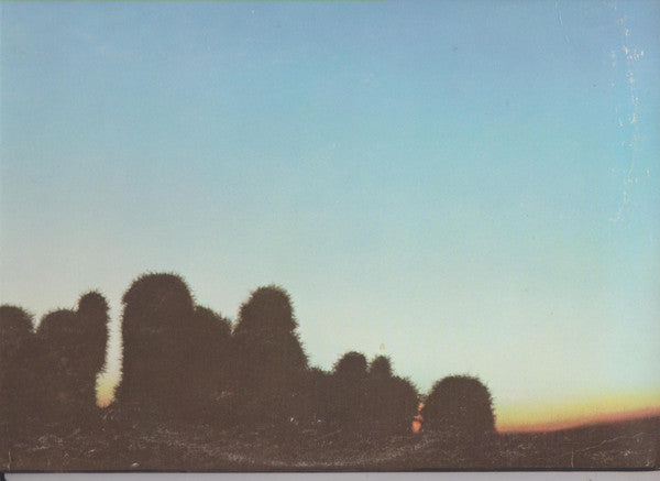 Eagles : Eagles (LP, Album, Fir)