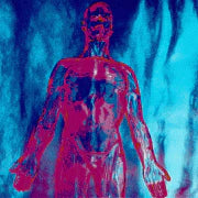 Nirvana - Sliver/Dive 7