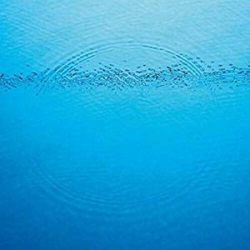 Caribou - Suddenly LP