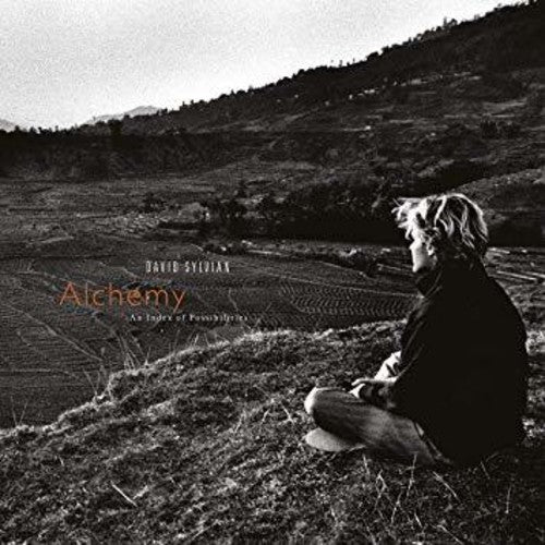 David Sylvian - Alchemy: An Index Of Possibilities LP (UK Pressing)