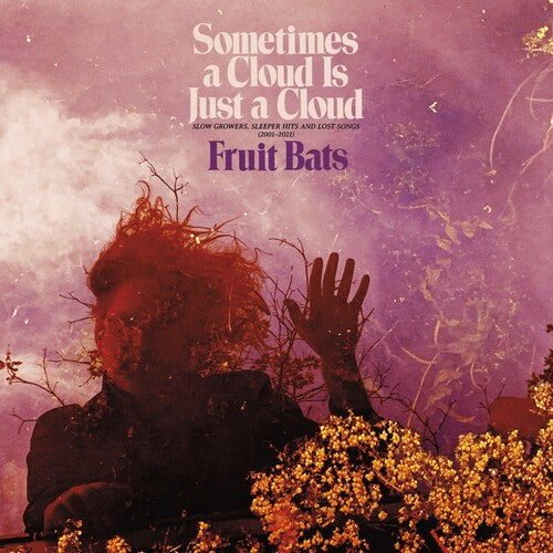 Fruit Bats - Sometimes A Cloud Is Just A Cloud: Slow Growers, Sleeper Hits And Lost Songs (2001-21) 2LP (Pink Violet Vinyl, Gatefold)