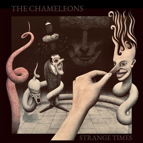 The Chameleons Strange Times 新品未開封 The Chameleons - Strange Times LP