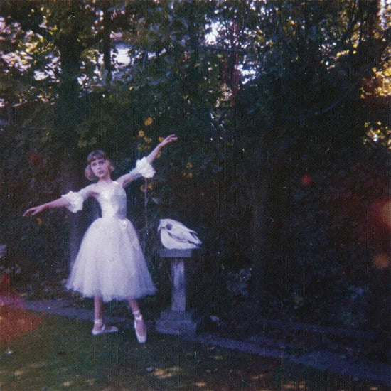 Wolf Alice - Visions Of A Life 2LP