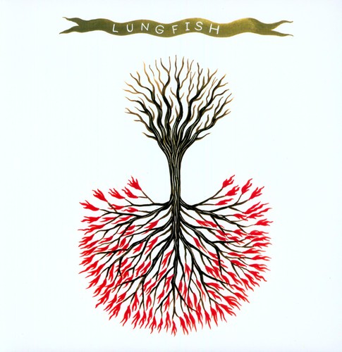 Lungfish - Love Is Love LP