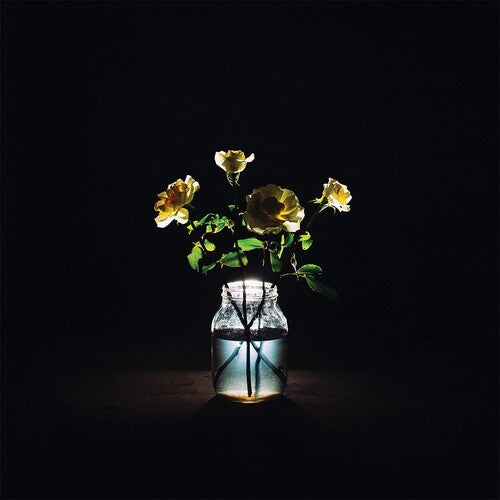 Billy Strings – Renewal 2LP (180g, Gatefold)