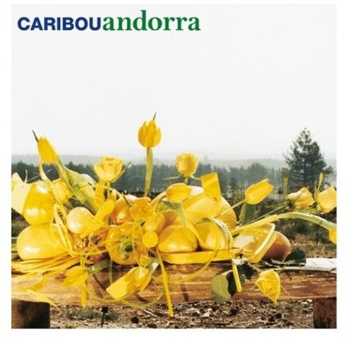 Caribou – Andorra (15th Anniversary, White Vinyl, Gatefold)