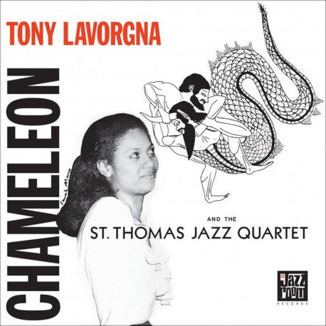 chameleon レコード Tony Lavorgna - Chameleon LP