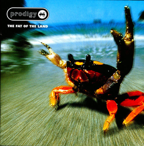 Prodigy – The Fat Of The Land 2LP