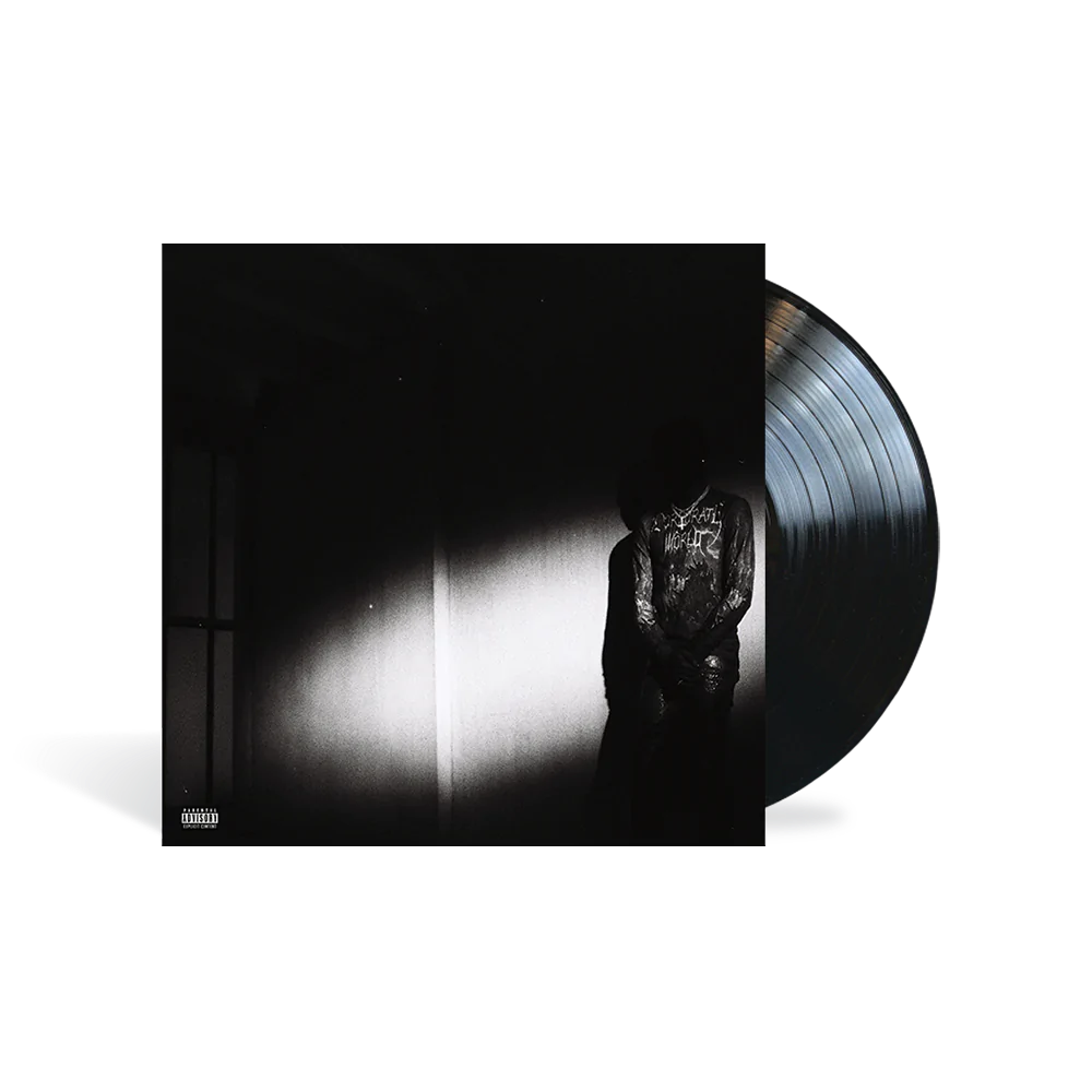 Destroy Lonely - No Stylist LP