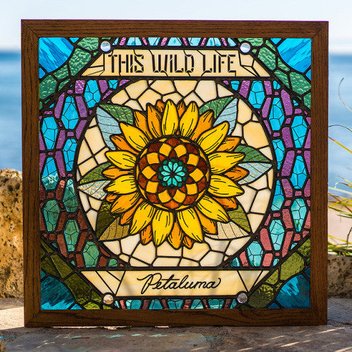 This Wild Life : Petaluma (LP, Album, Tra)