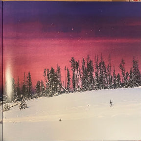 Chon (3) : Chon (LP, Album, Ltd, Bla)