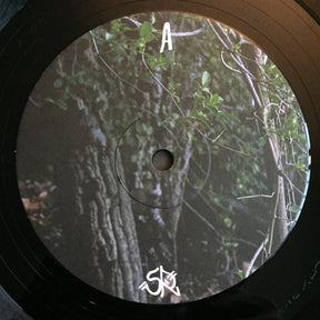 Amazondotcom : Mirror River (12", EP)