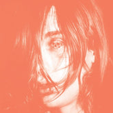 Deerhunter - Microcastle LP