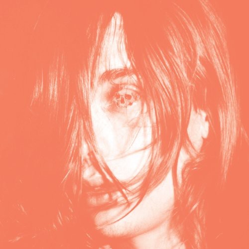 Deerhunter - Microcastle LP