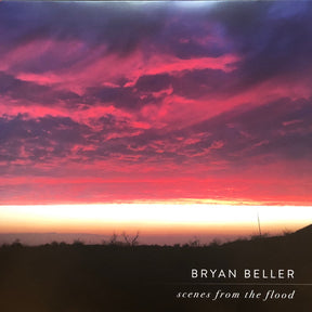 Bryan Beller : Scenes From The Flood (2xLP, Album, Ltd, Pur)
