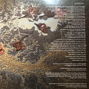 Bryan Beller : Scenes From The Flood (2xLP, Album, Ltd, Pur)