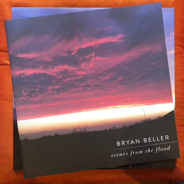Bryan Beller : Scenes From The Flood (2xLP, Album, Ltd, Pur)
