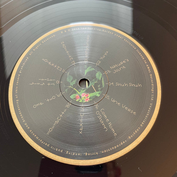 ((( O ))) (2) : ((( 1 ))) (LP, Album)